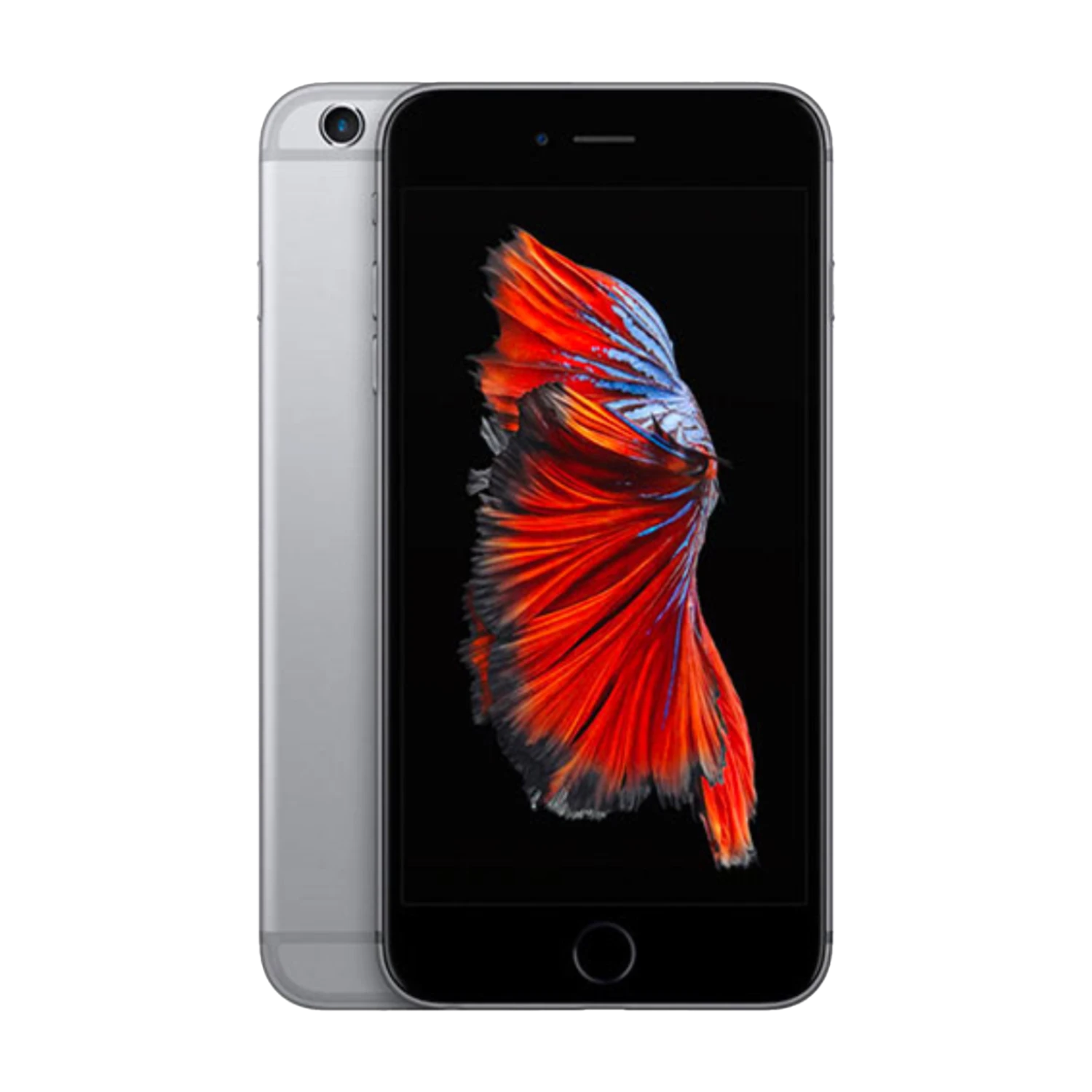 iPhone 6 Plus